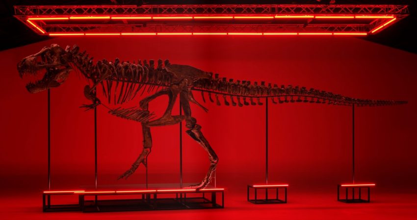 Science to the highest bidder: a complete Tyrannosaurus Rex and a Martian meteorite, up for auction