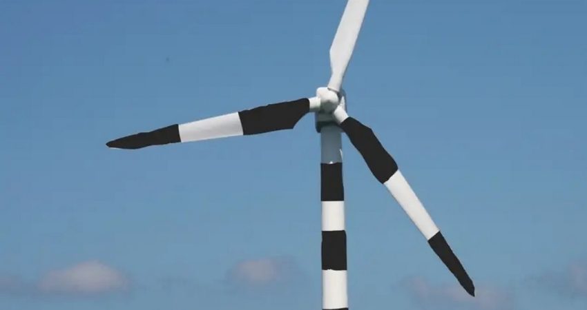 Scientists advise painting turbines with black stripes to avoid millions of bird deaths