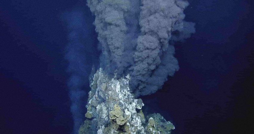 We have discovered a strange new species that lives in the submerged volcanoes of the Arctic