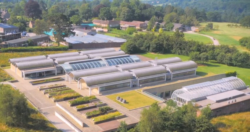 We visit the Millennium Seed Bank, the Noah's Ark of plants, reaches 2,400 million stored seeds (video)