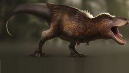 Tyrannosaurus Rex myths, what were T-Rex really like?